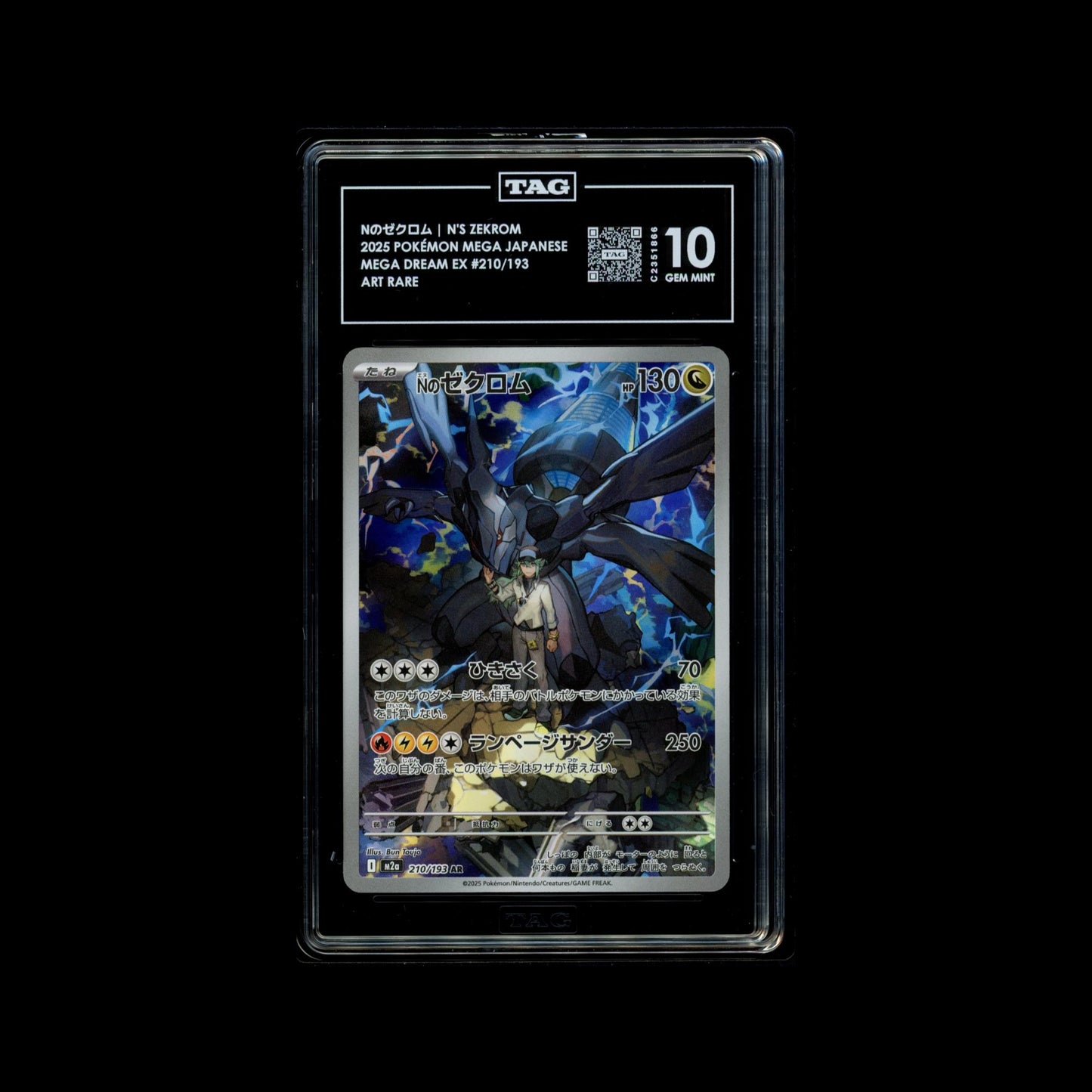 TAG 10 - N'S ZEKROM ART RARE JAPANESE